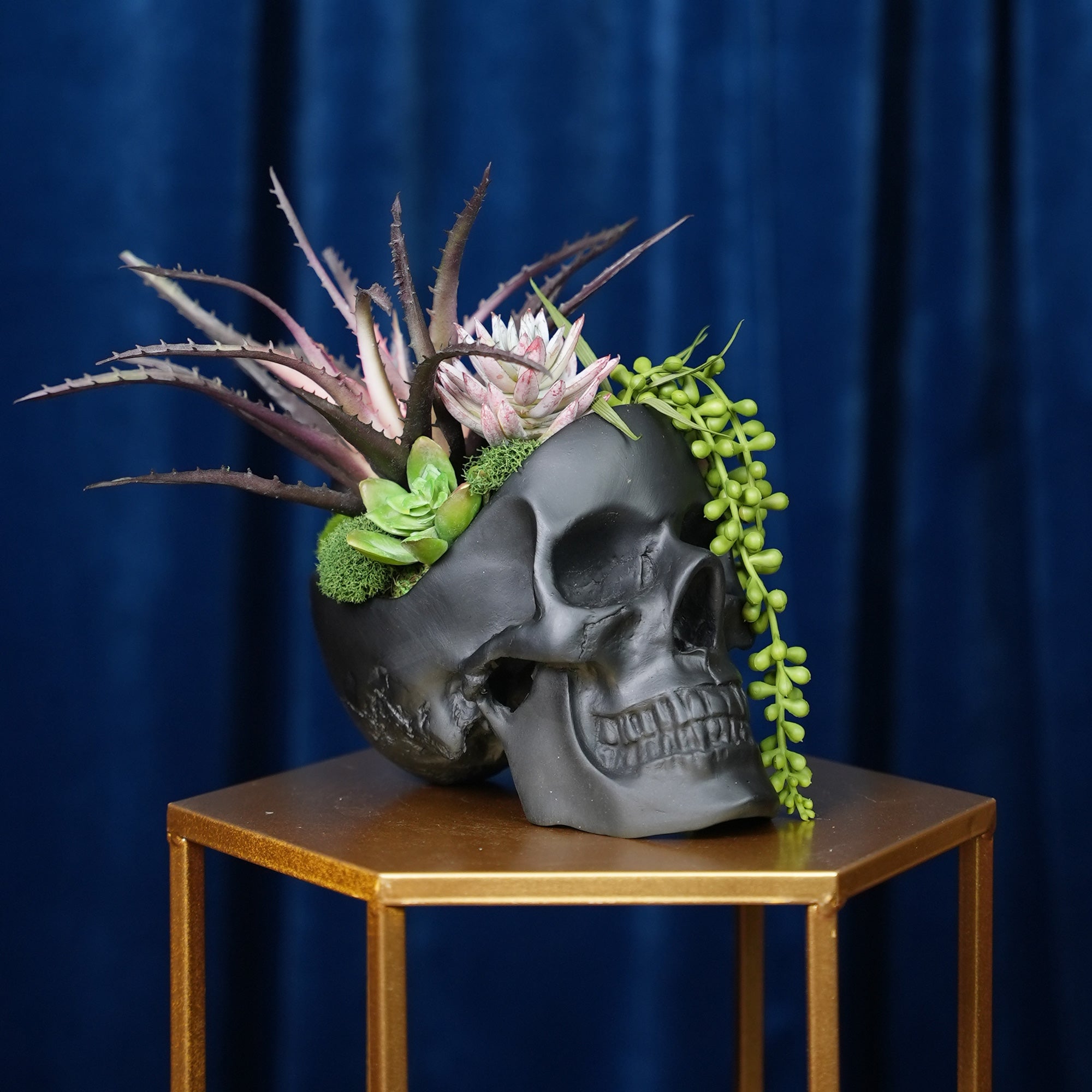 Hallow's Skull Succulent Bouquet
