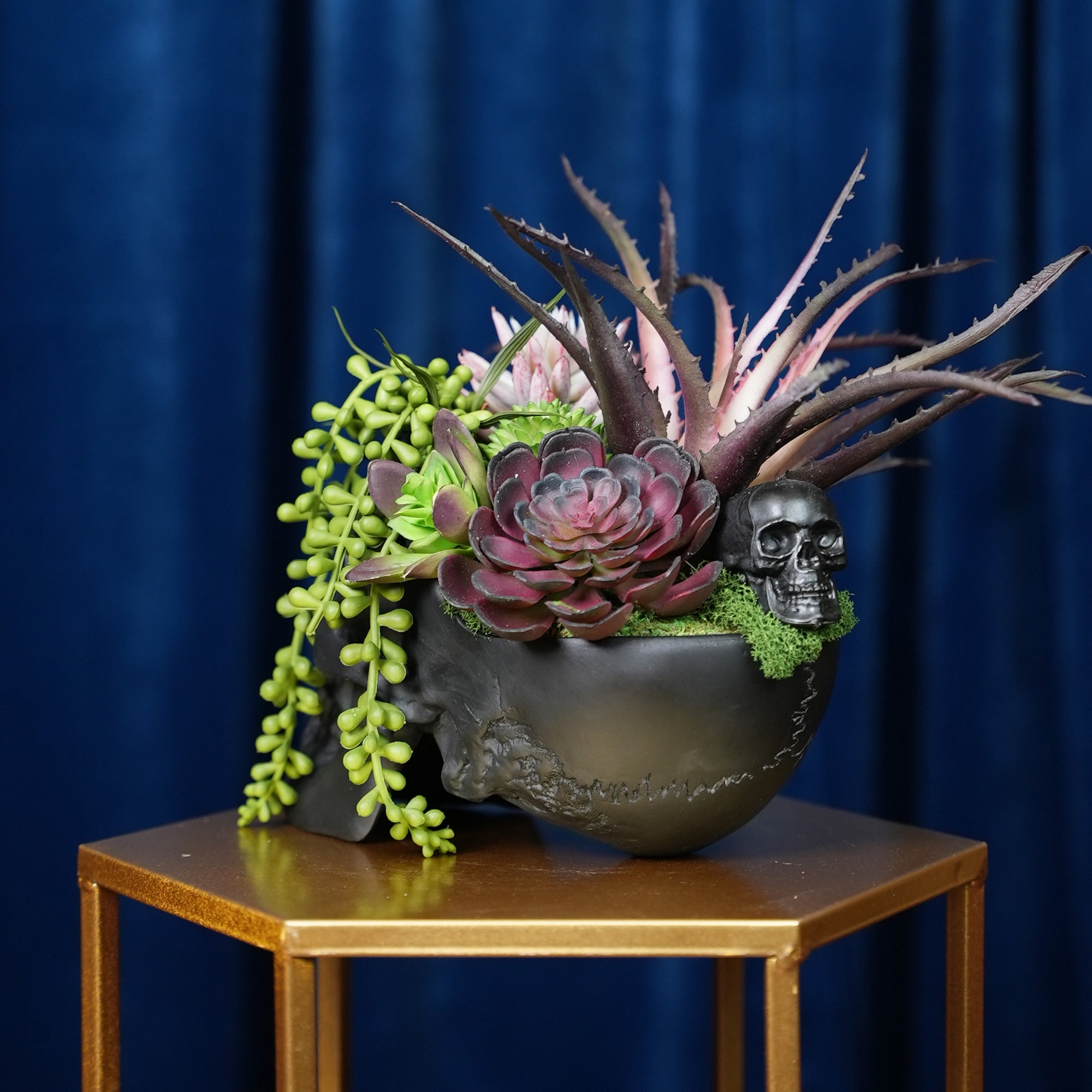Hallow's Skull Succulent Bouquet