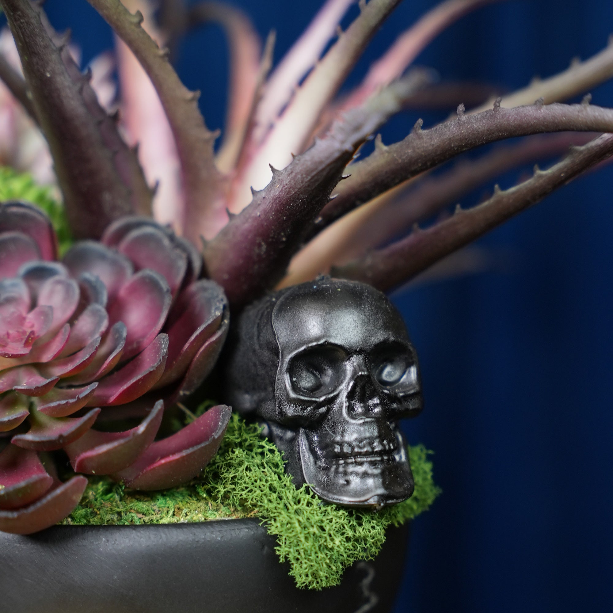 Hallow's Skull Succulent Bouquet