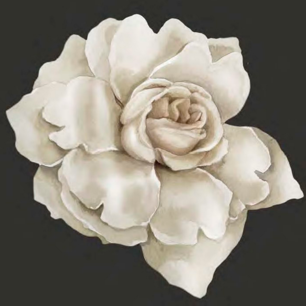 Greeting Card Camellia 5,5"X 5,5"