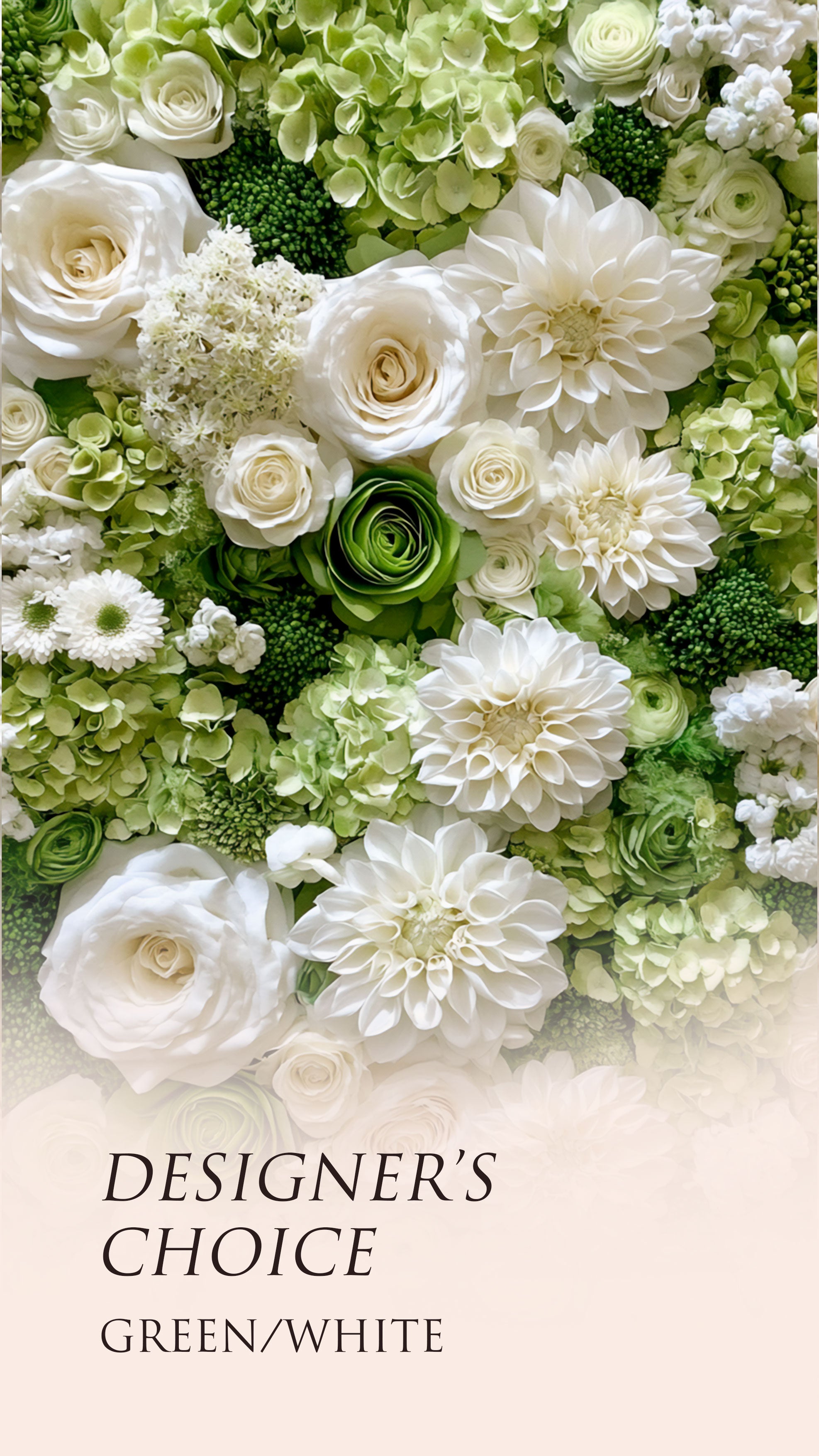№342 Designer’s Choice – Green & White Grace