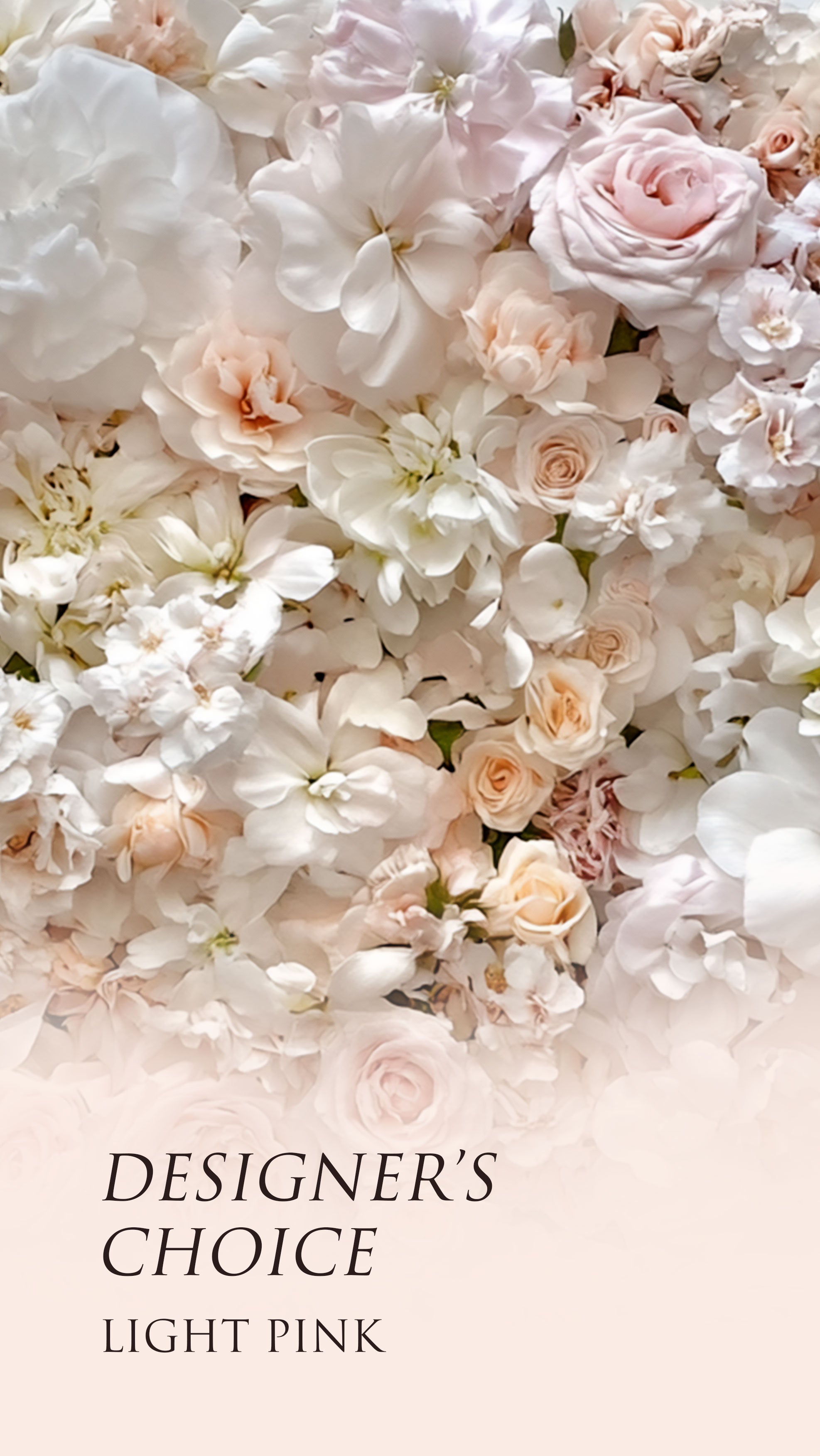 №344 Designer’s Choice – Light Pink Whisper