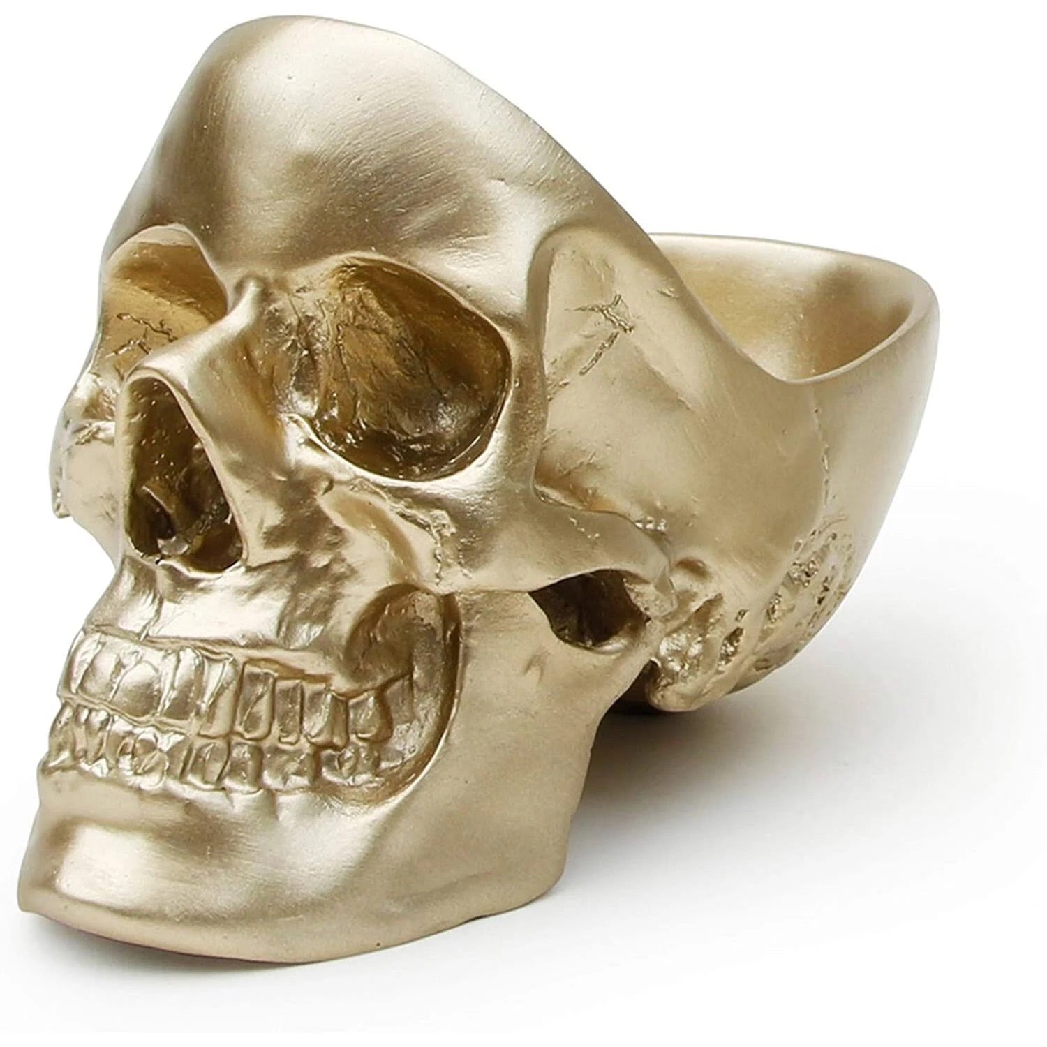 Hallow's Skull Succulent Bouquet