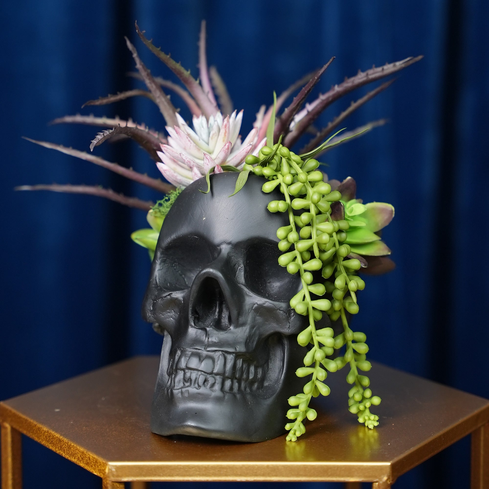 skull succulent Hallow's Skull Succulent Bouquet