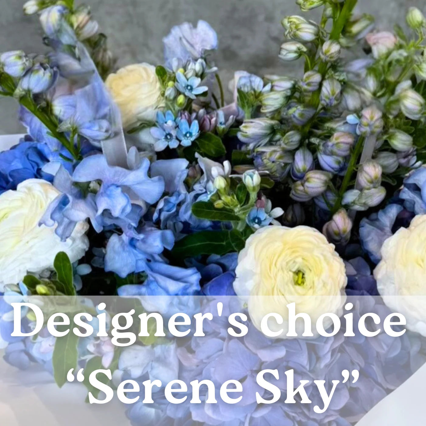 Designer's choice “Serene Sky” Blue/ White