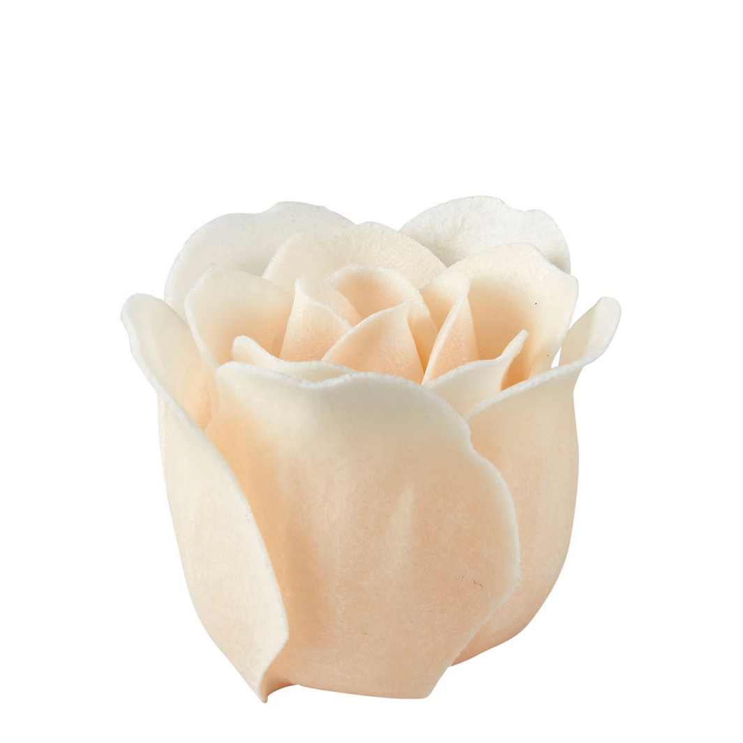 Set of 3 Camellias and 3 nude soapleaves - Rose Fragrance