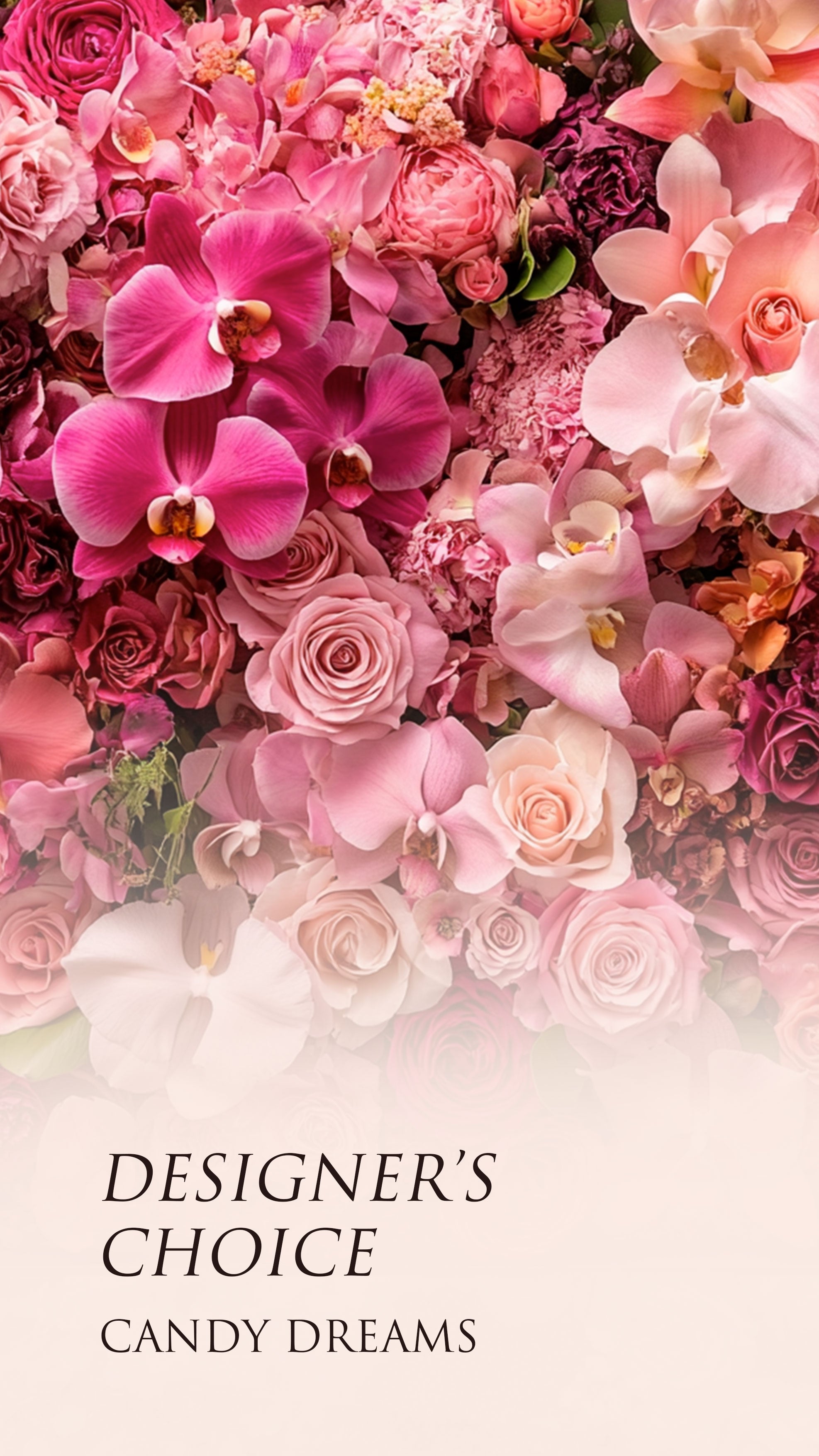 №349 Designer’s Choice – Candy Dreams